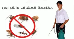 مكافحة الحشرات في الإمارات