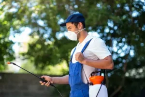 خدمات شركات مكافحة الحشرات في الإمارات